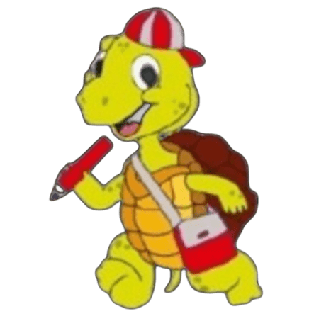 wisest turtle favicon
